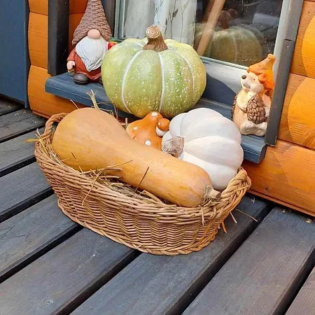 Szalonka Vendeghaz Tatil Evi Kemence