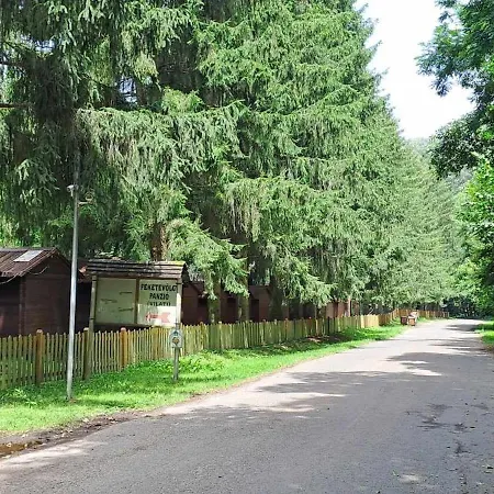 Szalonka Vendeghaz * Kemence