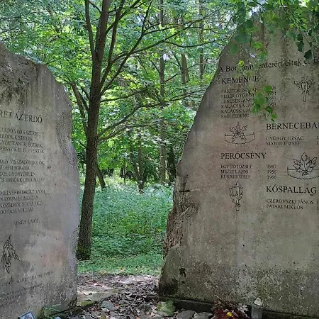 Szalonka Vendeghaz Tatil Evi Kemence