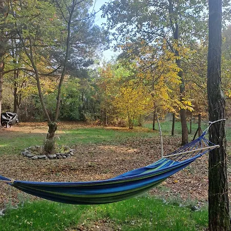 Szalonka Vendeghaz Kemence