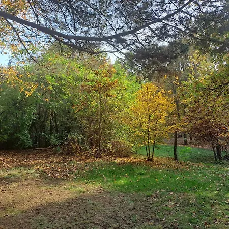 Szalonka Vendeghaz Tatil Evi